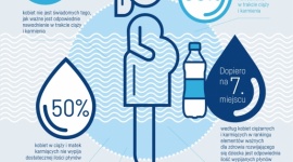 50% Polek w ciąży i podczas karmienia pije za mało wody Dziecko, LIFESTYLE - Odpowiednie nawodnienie w czasie ciąży i karmienia jest kluczowe zarówno dla zdrowia matki, jak i rozwoju dziecka. Jak wynika z najnowszych badań , wiedza kobiet w ciąży i matek karmiących piersią na temat nawodnienia jest niepokojąco niska.
