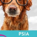 Psia Edukacja w Galerii SFERA
