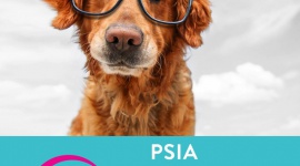 Psia Edukacja w Galerii SFERA