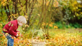 Jesienne sposoby na spędzenie czasu z dzieckiem Dziecko, LIFESTYLE - Polska jesień potrafi mile zaskoczyć i być naprawdę piękna! Wówczas każdą chwilę warto spędzić na świeżym powietrzu. Zabawy w parku, gdy na ziemi pełno różnokolorowych liści z pewnością są atrakcją dla naszych pociech.