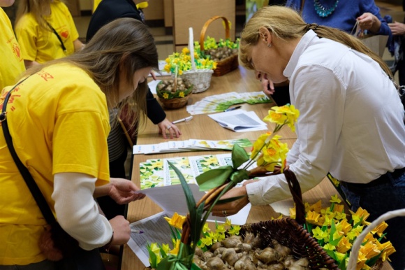 Spotkajmy się na „Polach Nadziei”. Inauguracja 8. edycji społecznej kampanii Dziecko, LIFESTYLE - ​Stało się. Pierwsze cebulki żonkili zostały już posadzone i na wiosnę zakwitną tworząc „Pola Nadziei”. Po raz kolejny Fundacja „Pomóż Im” przyłączyła się do ogólnopolskiej kampanii społecznej i organizuje ją w naszym województwie.