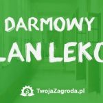 Rozpocznij rok szkolny ze sklepem TwojaZagroda.pl i darmowym planem lekcji