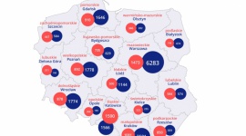 Praca dla niań przede wszystkim w dużych miastach