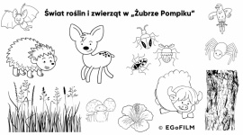 Co jada dzik? - jak filmy animowane wspierają edukację najmłodszych Dziecko, LIFESTYLE - Dzieci szybciej przyswajają różnego rodzaju informacje, kiedy angażują wszystkie swoje zmysły. W bardziej przystępnym przekazywaniu wiedzy przedszkolakom bądź uczniom klas I-III może pomóc film – często wartościowe źródło np. ciekawostek przyrodniczych.