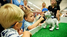 Niech robot zaparzy Ci kawę! Dziecko, LIFESTYLE - Podpowiedzą przepis na dobre domowe ciasto, posprzątają mieszkanie, umyją okna a nawet zaparzą kawę! Nowoczesne roboty z całego świata oraz ich niesamowite umiejętności oglądać można na interaktywnej wystawie, która do 11 sierpnia trwa w Porcie Łódź.